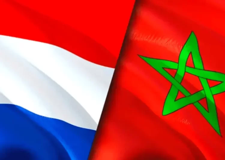 أنابيك سكيلز فرنسا