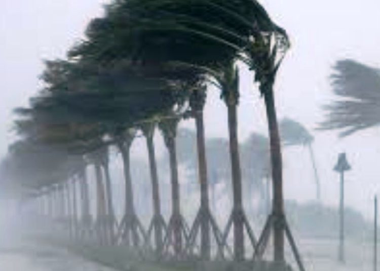 نشرة انذارية من المستوى البرتقالي.. أمطار رعدية قوية في هذه المناطق