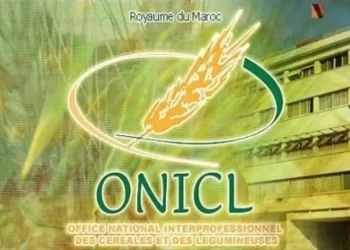 المكتب الوطني المهني للحبوب والقطاني: مباراة توظيف 02 متصرفين من الدرجة الثالثة. آخر أجل هو 23 أكتوبر 2022