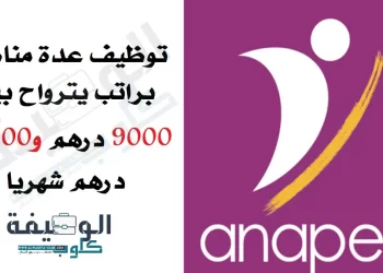 وكالة الأنابيك: توظيف عدة مناصب براتب يترواح بين 9000 درهم و28000 درهم شهريا بعقود عمل مختلفة