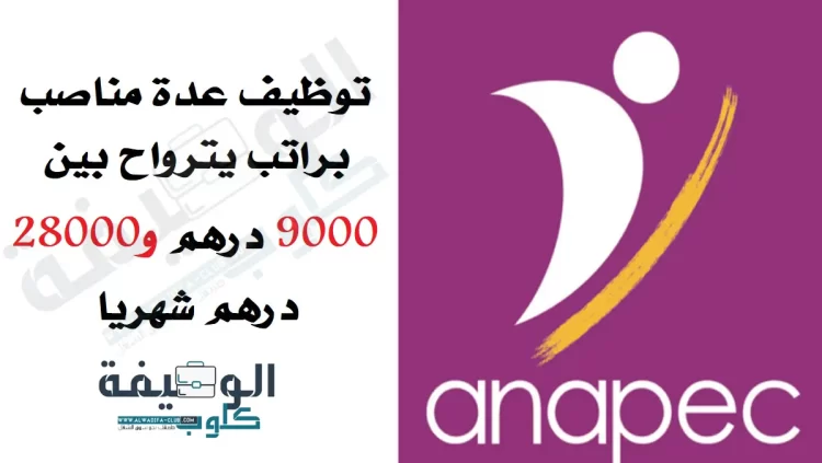 وكالة الأنابيك: توظيف عدة مناصب براتب يترواح بين 9000 درهم و28000 درهم شهريا بعقود عمل مختلفة
