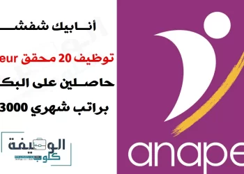 أنابيك: توظيف 20 محقق Enquêteur حاصلين على البكالوريا براتب شهري 3000 درهم
