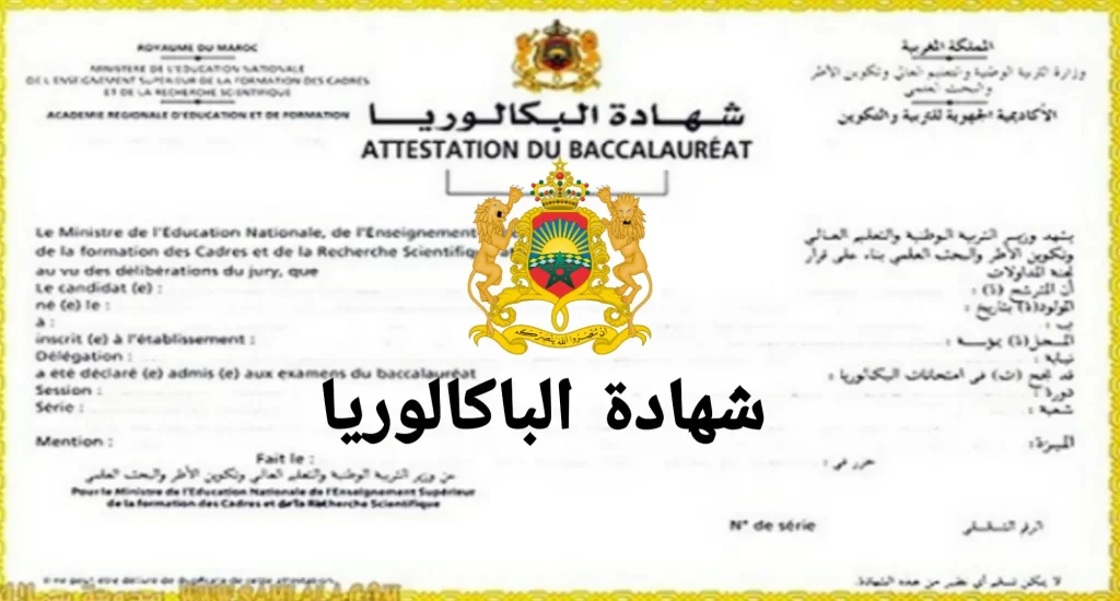 الآفاق الدراسية ما بعد البكالوريا