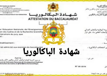 الآفاق الدراسية ما بعد البكالوريا