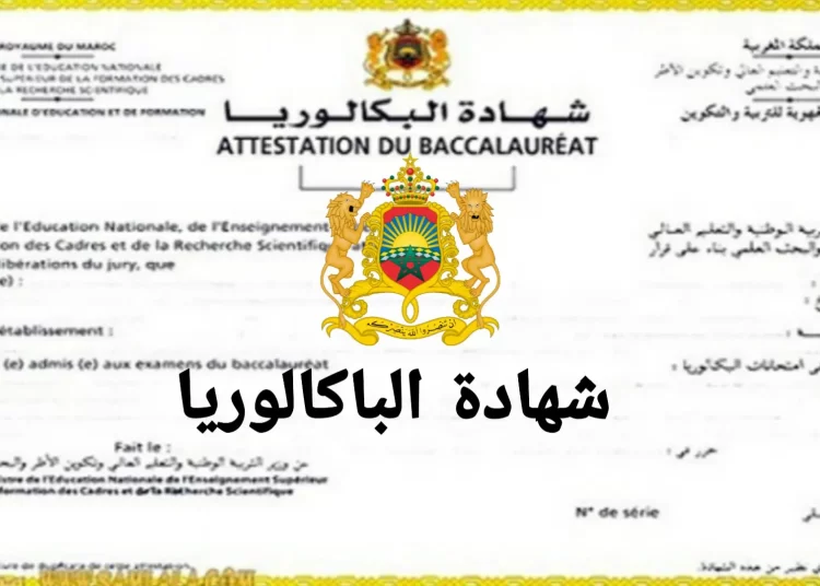 الآفاق الدراسية ما بعد البكالوريا