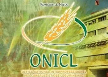 مباريات التوظيف بالمكتب الوطني المهني للحبوب والقطاني برسم سنة 2022