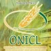 مباريات التوظيف بالمكتب الوطني المهني للحبوب والقطاني برسم سنة 2022