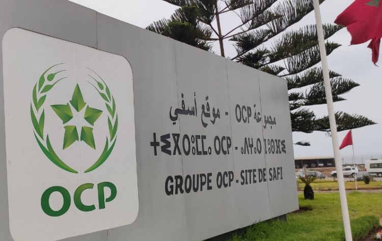 OCP recrutement 2022
