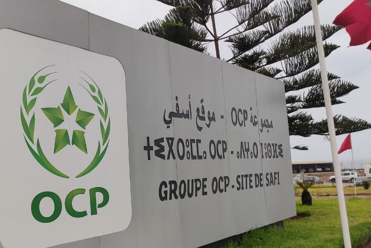 OCP recrutement 2022