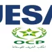 jesa maroc recrutement 2023