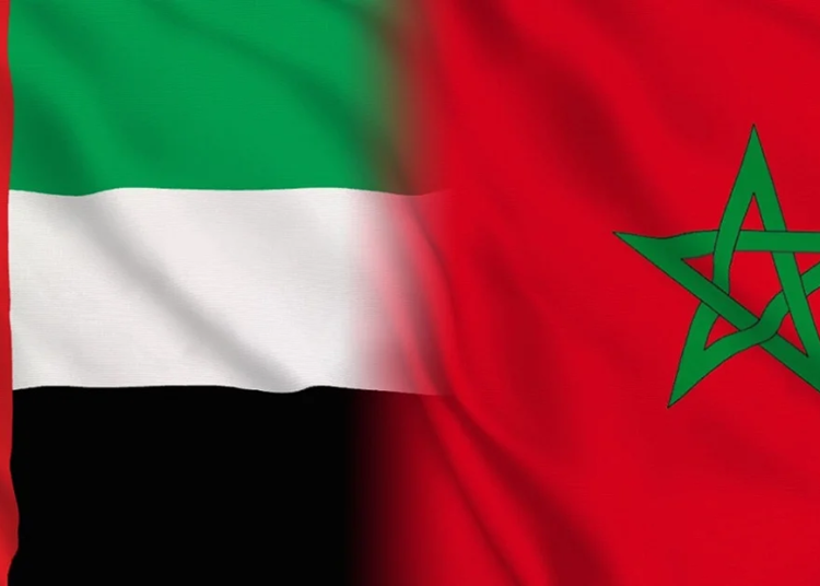 أنابيك سكيلز الإمارات العربية