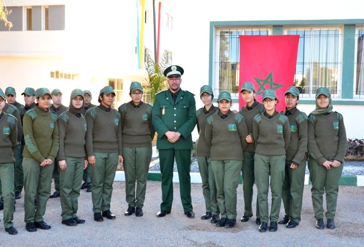 شروط ومتطلبات ولوج مباراة المعهد الملكي للتقنيين المتخصصين في المياه والغابات 2023