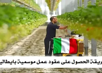 عقود العمل في ايطاليا 2023 .. طريقة الحصول على عقود عمل موسمية بايطاليا