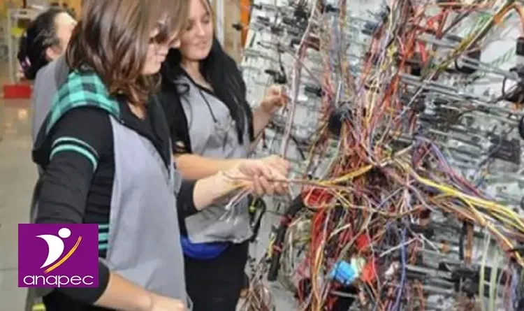 تشغيل 1541 عامل وعاملة ومؤهلين وتقنيين في مجال تركيب وصناعة اجزاء السيارات