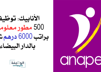 الأنابيك توظف 500 مطور معلوميات بمدينة الدرا البيضاء براتب 6000 درهم