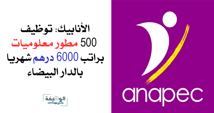 الأنابيك توظف 500 مطور معلوميات بمدينة الدرا البيضاء براتب 6000 درهم