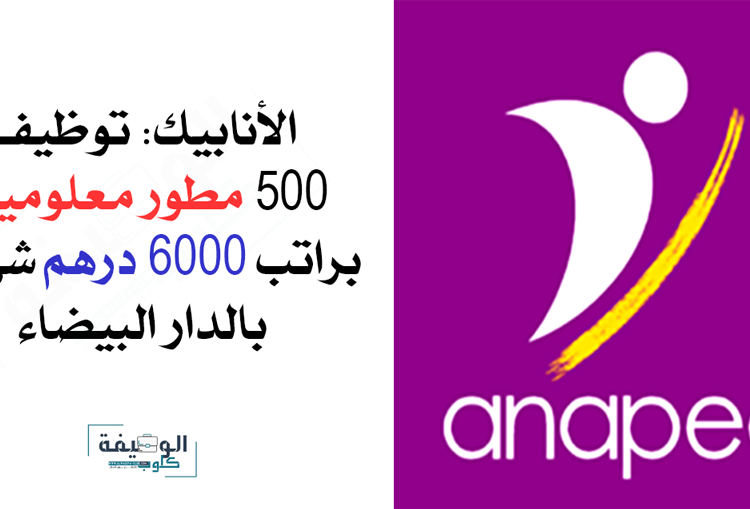 الأنابيك توظف 500 مطور معلوميات بمدينة الدرا البيضاء براتب 6000 درهم