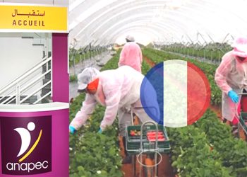 بدون شهادة او دبلوم مطلوب عمال وعاملات فلاحيين للعمل بدولة فرنسا عن طريقة الانابيك