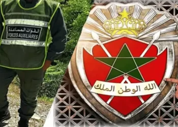 للحاصلين على أي شهادة أو دبلوم كيفما كان هنا شروط الالتحاق برجال القوات المساعدة 2023