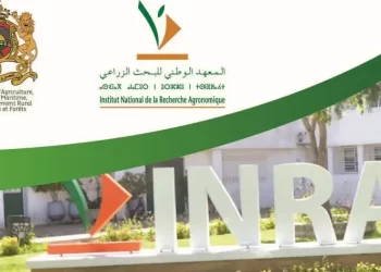 Concours de recrutement INRA 2023