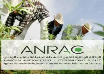الوكالة الوطنية لتقنين الأنشطة المتعلقة بالقنب الهندي Concours ANRAC 2023 مباريات توظيف 3 تقنيين متخصصين و16 إطار في عدة تخصصات