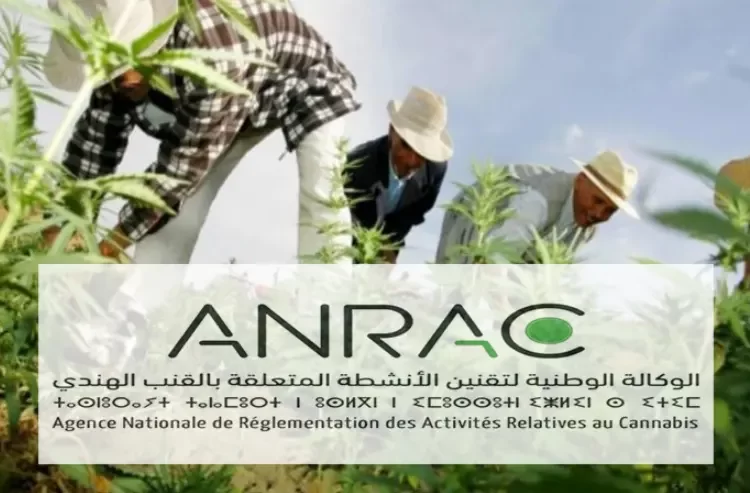 الوكالة الوطنية لتقنين الأنشطة المتعلقة بالقنب الهندي Concours ANRAC 2023 مباريات توظيف 3 تقنيين متخصصين و16 إطار في عدة تخصصات