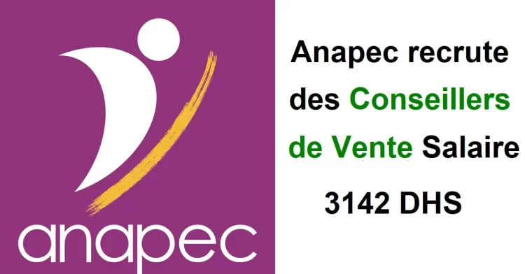 انابيك مكناس توظيف مستشاري مبيعات Conseillers de Vente براتب 3142 درهم بمدينة مكناس الاسماعيلية