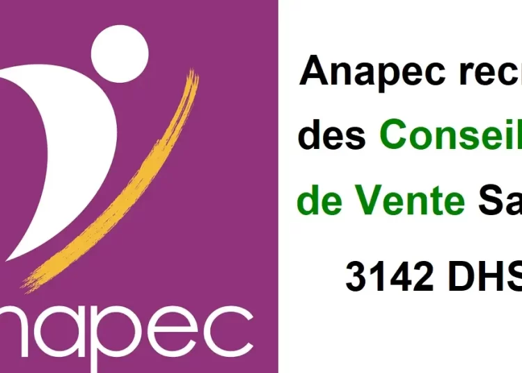 انابيك مكناس توظيف مستشاري مبيعات Conseillers de Vente براتب 3142 درهم بمدينة مكناس الاسماعيلية