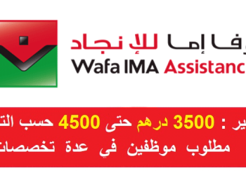 Wafa IMA Assistance Recrutement (Jeunes Diplômés ou Etudiants)