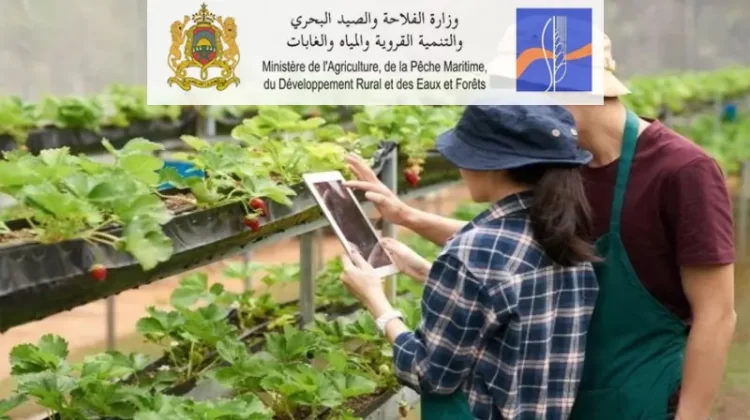 ولوج المدرسة الفلاحية بتمارة 2023