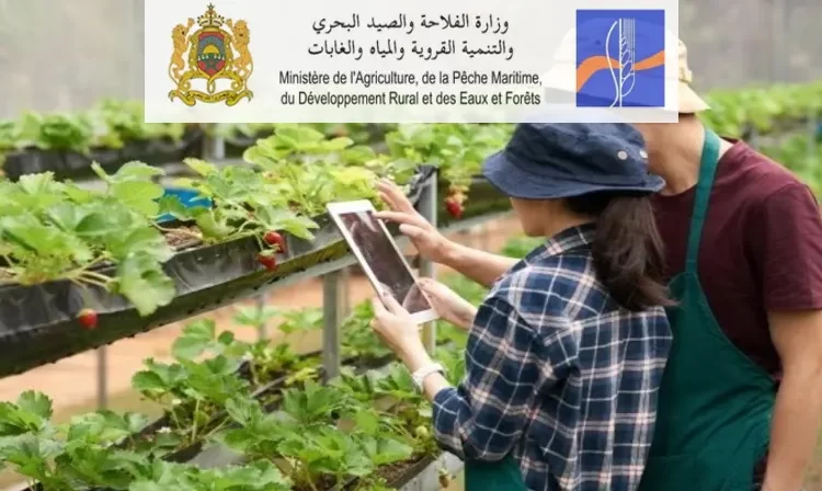 ولوج المدرسة الفلاحية بتمارة 2023