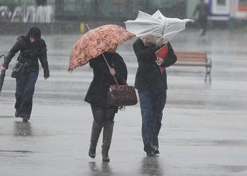 نشرة إنذارية .. أمطار وزخات رعدية في هذه المناطق