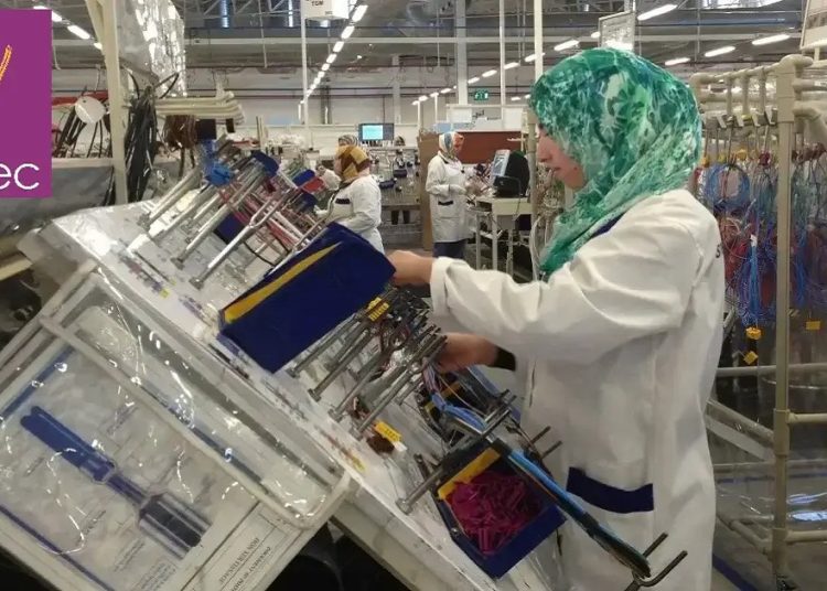 Anapec recrute 600 Opératrices 2023