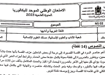 الامتحان الوطني العربية شعبة الاداب والعلوم الانسانية 2023
