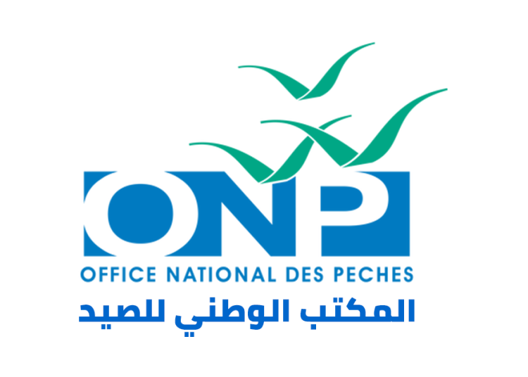 مباراة توظيف 5 وكلاء خزينة بالمكتب الوطني للصيد 2023 Concours ONP