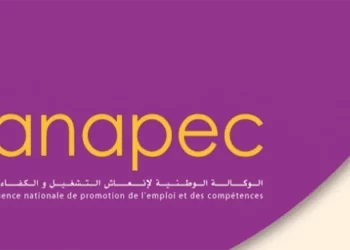 أنابيك الدارالبيضاء مطلوب مربية أطفال للعمل بصالير 5000