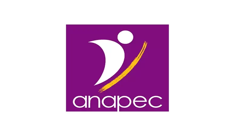 أنابيك الرباط توظيف