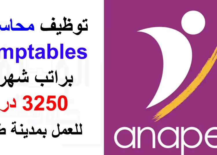 الأنابيك تشغيل 30 محاسب Comptable للعمل بمدينة طنجة