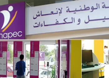 تشغيل (20) معلمين ومعلمات التعليم الأولي بإقليم آسفي 2023