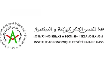 نتائج كتابي  والمدعوين لشفوي APESA Rabat 2023