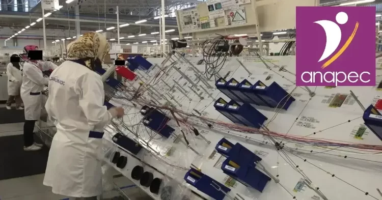 تشغيل 320 عامل وعاملة ومؤهلين في مجالات الخيوط الكهربائية ومجال صناعة السيارات عن طريق الأنابيك