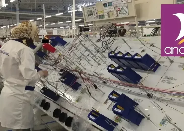 تشغيل 320 عامل وعاملة ومؤهلين في مجالات الخيوط الكهربائية ومجال صناعة السيارات عن طريق الأنابيك