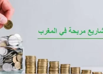 افكار مشاريع مربحة بالمغرب