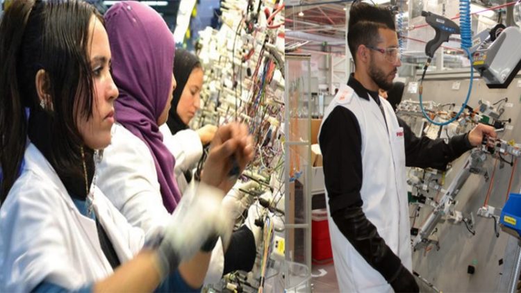 مطلوب 300 عامل بقطاع الكابلاج