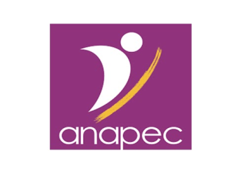 توظيف مساعدة اجتماعية بمدينة الصويرة عن طريق الأنابيك