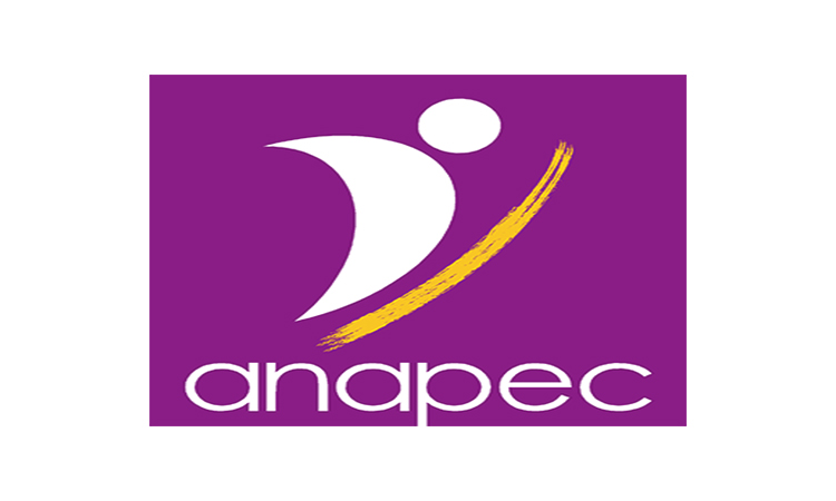 براتب 4000 درهم مطلوب 62 منسق بمؤسسة للدعم المدرسي بعدة مدن