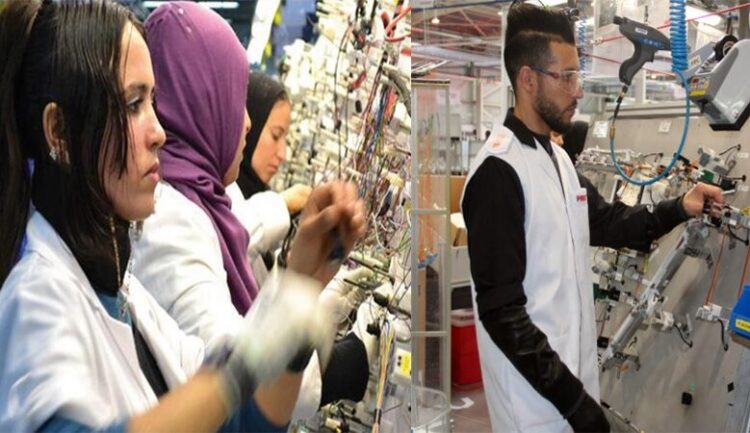 بدون شهادة او دبلوم مطلوب تشغيل 200 عامل بقطاع الكابلاج