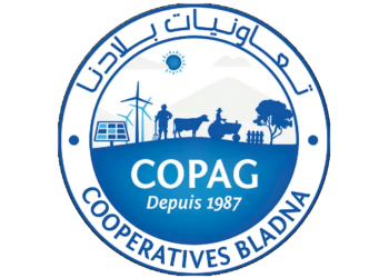 COPAG recrute Plusieurs Profils