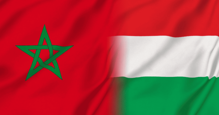 (165) منحة دراسية بدولة هنغاريا 2024-2025