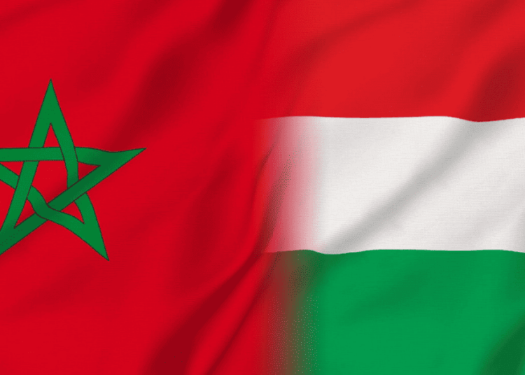 (165) منحة دراسية بدولة هنغاريا 2024-2025